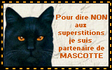 Non aux superstition des chats noirs !!!
