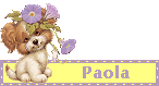 mini questionnaire (paola)
